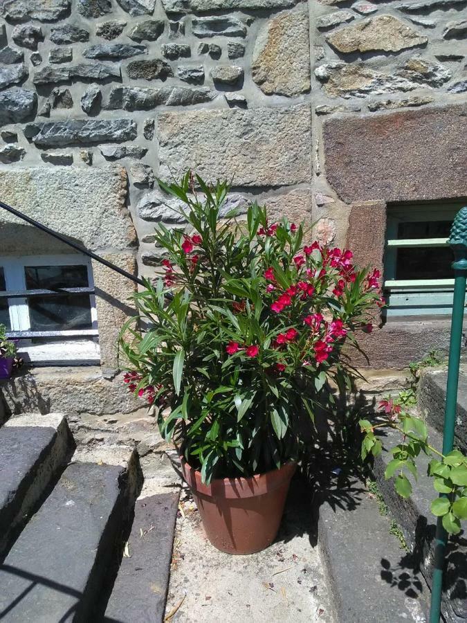 Le Refuge Des Alpes Mancelles Fresnay-sur-Sarthe Exterior foto