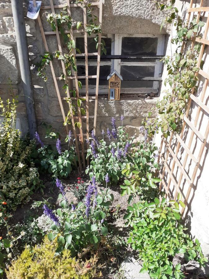 Le Refuge Des Alpes Mancelles Fresnay-sur-Sarthe Exterior foto